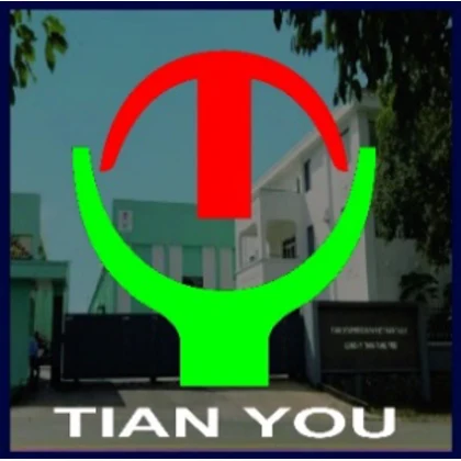 Tian You