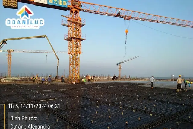Alexandra Hamilton Home Co., Ltd — On site