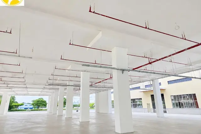 Ever Strong Company Limited — On site