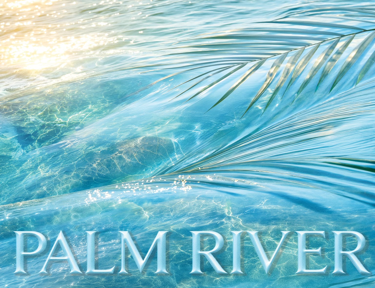 Palm River