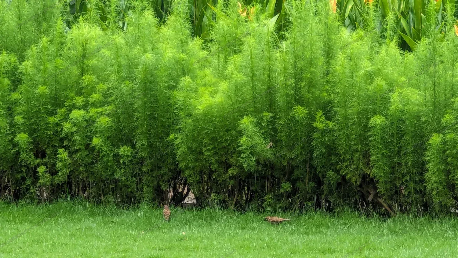 EcoXuan surrounds · photo 17