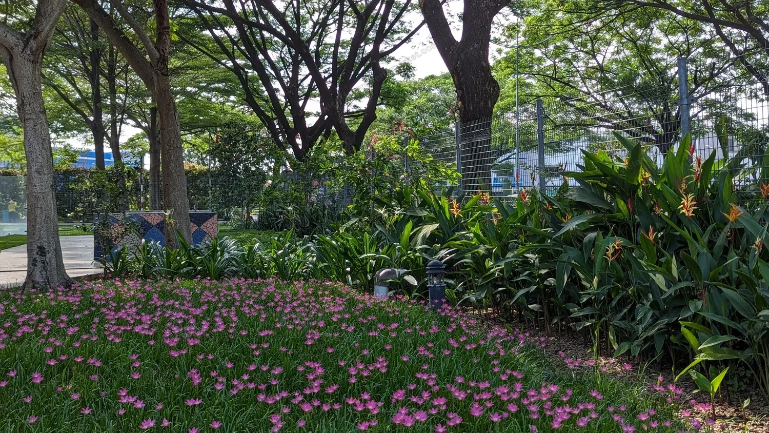 EcoXuan surrounds · photo 20