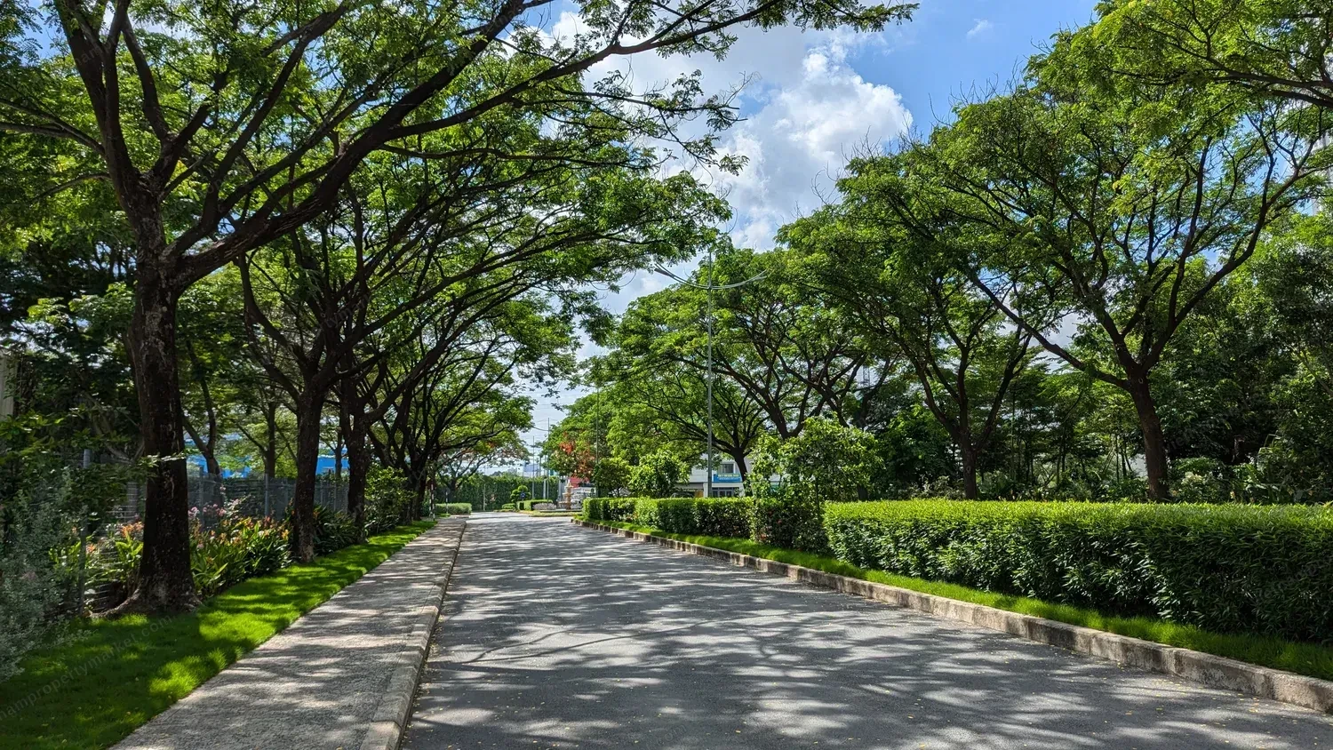 EcoXuan surrounds · photo 22